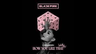 Ariana Grande Ai - How You Like That (Originally by BLACKPINK) [Ai Cover]