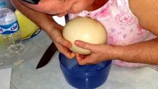 Huevo de Avestruz