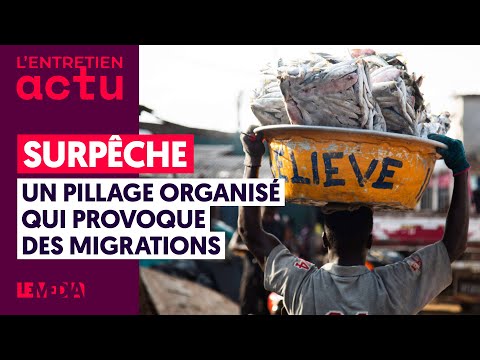 SURPÊCHE, UN PILLAGE ORGANISÉ QUI PROVOQUE DES MIGRATIONS