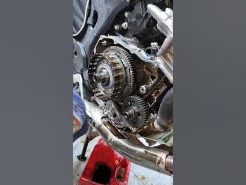africa twin clutch