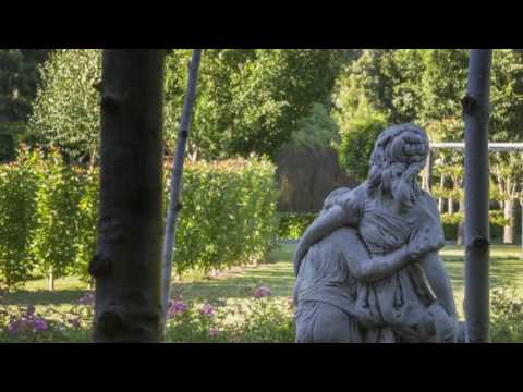 Tree Church - A living, breathing church in New Zealand