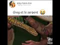 Greg à deux doigt de se faire mordre par un Serpent 😱😱😱😂