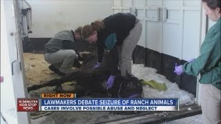 Lawmakers debate seizure of ranch animals