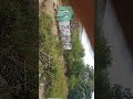 TEVE MUITA GENTE ENTRANDO NESSA TRANSMISSÃO AO VIVO!