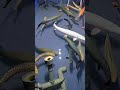 Documenting the fish-keeping life#PredatoryFish #AlligatorGar #Arapaima #PredatoryTank