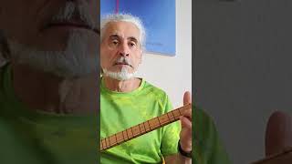Elveda Geleceğim, Kendi Tarzım, (Cover)