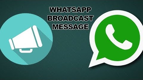 How to Create a Broadcast List on WhatsApp - tricks and tips You should know in 2024