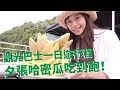 【北海道 哈密瓜吃到飽】