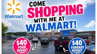 Come Shopping With Me!  Walmart Edition!