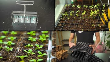 My Search For The Best Propagation Trays