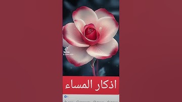 اذكار المسلم #الرحمن #اكسبلور #القزابري #quran #تيك_توك #لايك #دويتو #المصحف #صباح_الخير #ترند