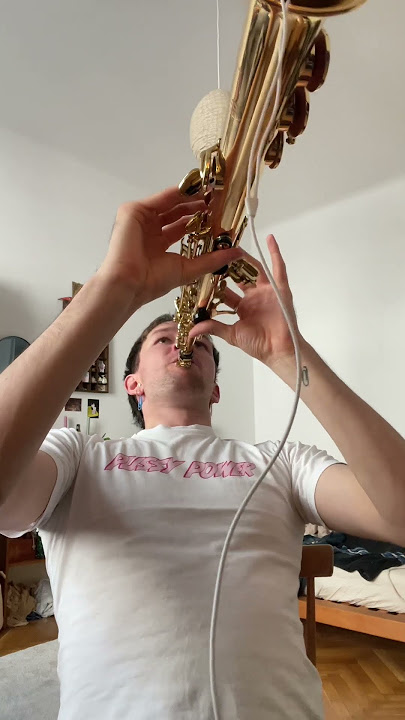 Download lagu megasaxophonia #megalovania #fyp #ASMR #sopranosaxophone