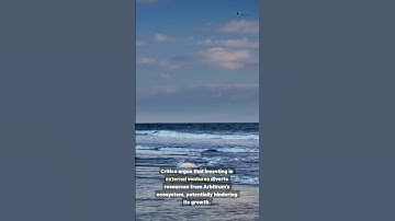 🚨 Arbitrum DAO Faces Backlash Over 7,500 ETH Investment Proposal 🚨This is How You Need To Prepare