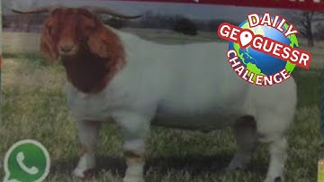 Insert Joke Here - Geoguessr Daily [08/01/23] 🌎