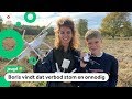 Vliegen met echte drones straks verboden voor kinderen