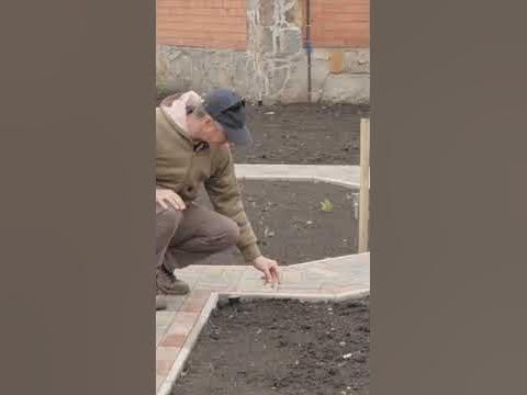 Подготовка земли под газон. Как подготовить землю под укладку рулонного ...