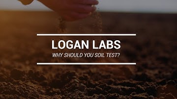 Why Should You Soil Test?
