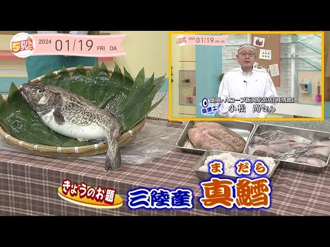 ５きげん知恵袋 ～真鱈（まだら）～｜５きげんテレビ