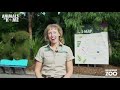 Virtual tour of melbourne zoo