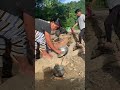 Jungle River Life Cooking _ Camping in the Wild! 🌿🔥 #Shorts.mp4