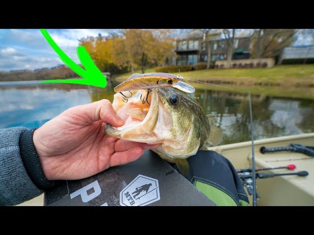 SUPER Clear Water Fishing with Topwater Duck Lure 