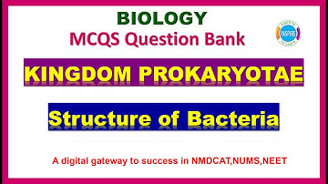 Structure of Bacteria #Kingdomprokaryotae #mdcatBiology #Prokaryotes #mdcat202 #nums2023 #etea2023