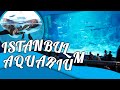 İstanbul Florya Akvaryumu - Visit the Biggest Aquarium in the World in Istanbul