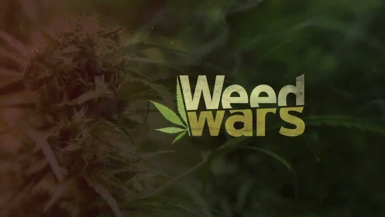 Weed Wars - Original logos, concepts and graphics
