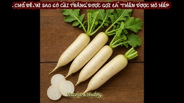 VÌ SAO CỦ CẢI TRẮNG ĐƯỢC GỌI LÀ “THẦN DƯỢC HÔ HẤP#natural&healthy#suckhoe#songkhoe#songlanhmanh