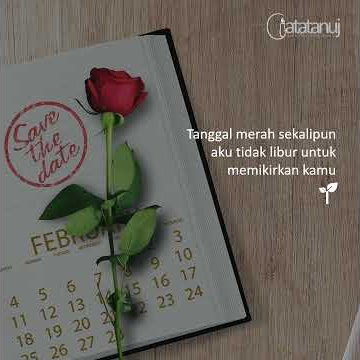 Story whatsapp 20 Kata-Kata Lucu tentang Cinta yang Bikin Senyum Sendiri Sekaligus Bikin Baper