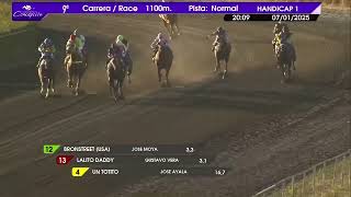 Vidéo de la course PMU PREMIO BAMBO BAR