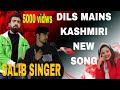Dils mains kashmiri  new  song  by salib singer
