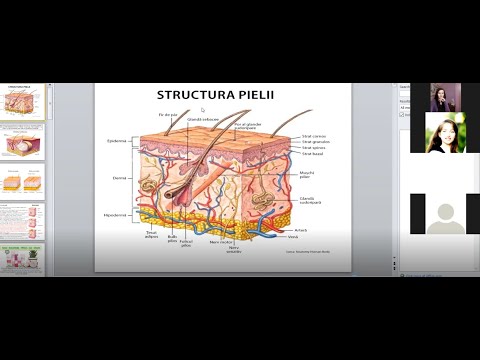 Video: Piele - Structură, Straturi, Funcții, Boli, îngrijire Zilnică