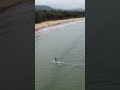 Umina beach from the air