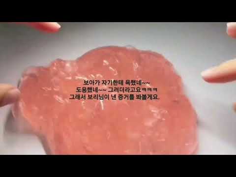 보아영상 도용해놓고 뻔뻔하게 공론화 올린 보리님 공론화