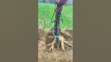 Use of machines for uprooting trees