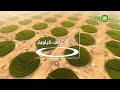 ملخص مبادرة السعودية الخضراء أكبر برنامج تشجير في العالم