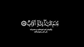 إنا وجدناه صابرًا | كرومات قرآن كريم بصوت #رعد_الكردي | #سورة_ص