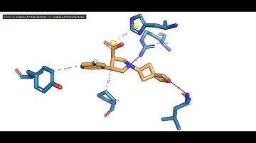 Publication-ready 3D visualisation maps of protein-ligand interactions using PLIP