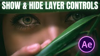 After Effects : How To Show & Hide Layer Controls