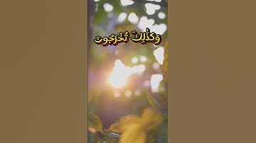 تلاوة خاشعة ماشاء الله تبارك الله ❤️❤️