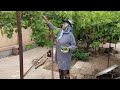 Mother and daughter cooperation in daily chores'Beautiful rural life