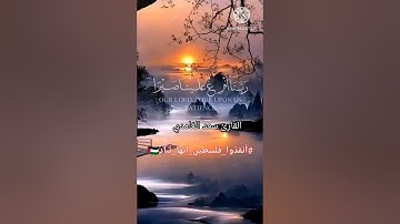 {ربنا أفرغ علينا صبرا وتوفنا مسلمين} /#القارئ_سعد_الغامدي