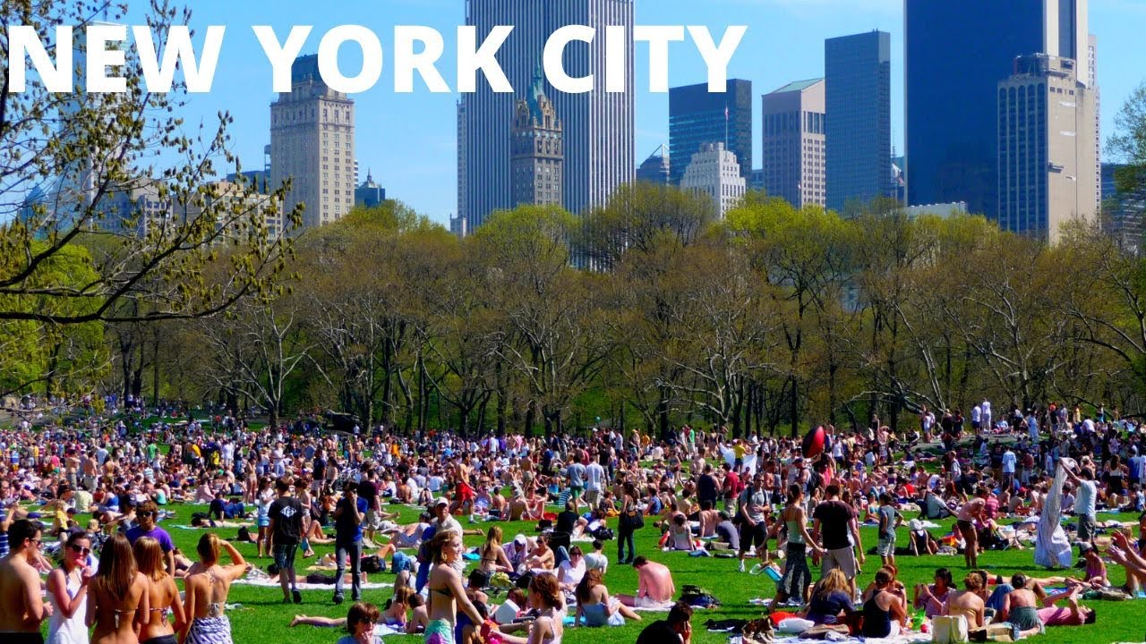 New York City Summer School Schedule New York City Summer School Schedule