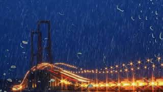 RAIN and THUNDER to Sleep Immediately - Deep Sleep with Heavy Rain on Tin Roof, Relax, ASMR