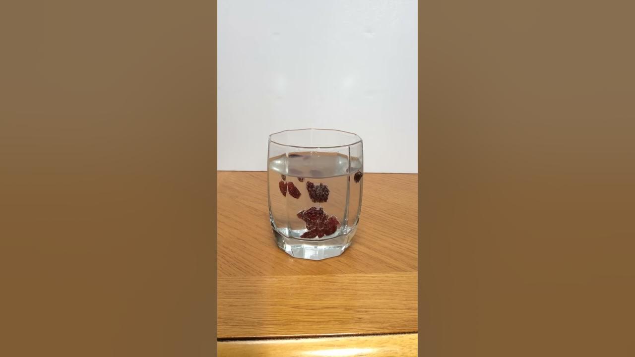 Dancing Cranberries Experiment - YouTube