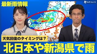 最新雨情報】北日本や新潟県で雨 天気回復のタイミングは？ - YouTube