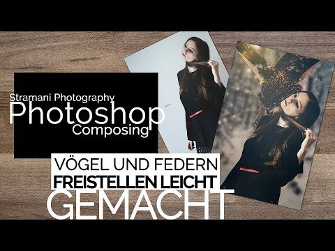 Vögel und Federn | Freistellen leicht gemacht ✪ Photoshop Tutorial Deutsch ✪