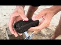 4K Wow!! Beach Clean-Up Turns Into Gold Hunt – Shocking