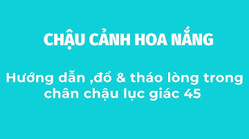 Hướng dẫn , đổ & tháo lòng trong chân chậu lục giác 45 || CHẬU CẢNH HOA NẮNG